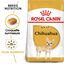 Royal Canin - Croquettes Chihuahua pour Chien Adulte - 3Kg Indicateur image numéro 3