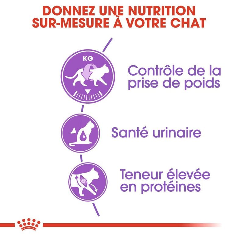 Royal Canin - Croquettes Sterilised 37 pour Chat - 2Kg Image numéro 4 Royal Canin - Croquettes Sterilised 37 pour Chat - 2Kg Image numéro 4