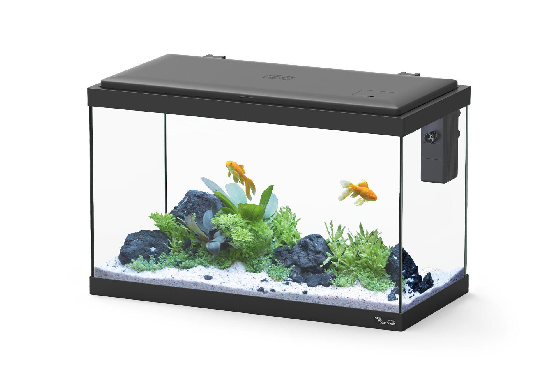 Aquatlantis - Aquarium Explorer Vienna avec Biofilter - Noir Image num&eacute;ro 1
