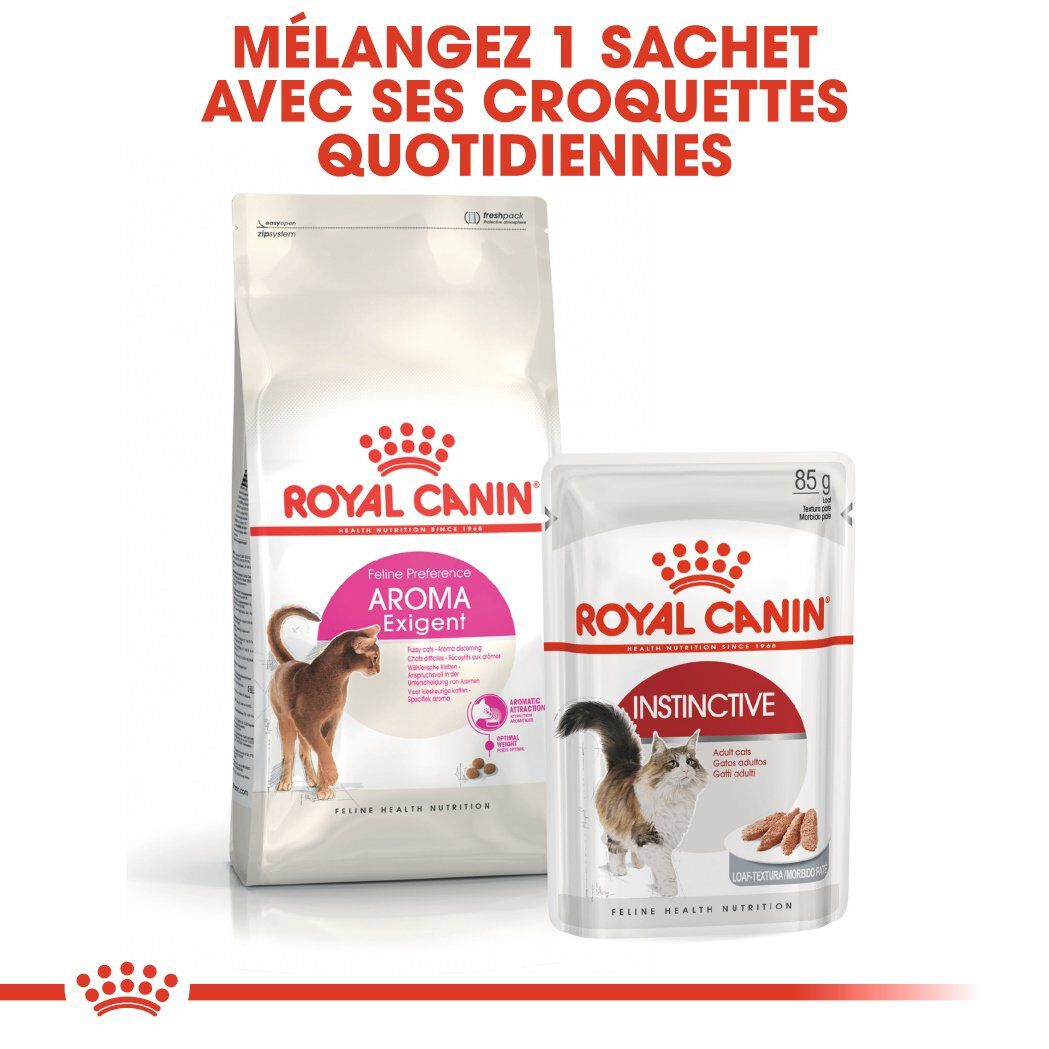 Royal Canin - Croquettes Aroma Exigent pour Chat - 2Kg Image num&eacute;ro 6