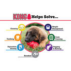 KONG - Jouet Classic en Caoutchouc pour Chien - L image number null