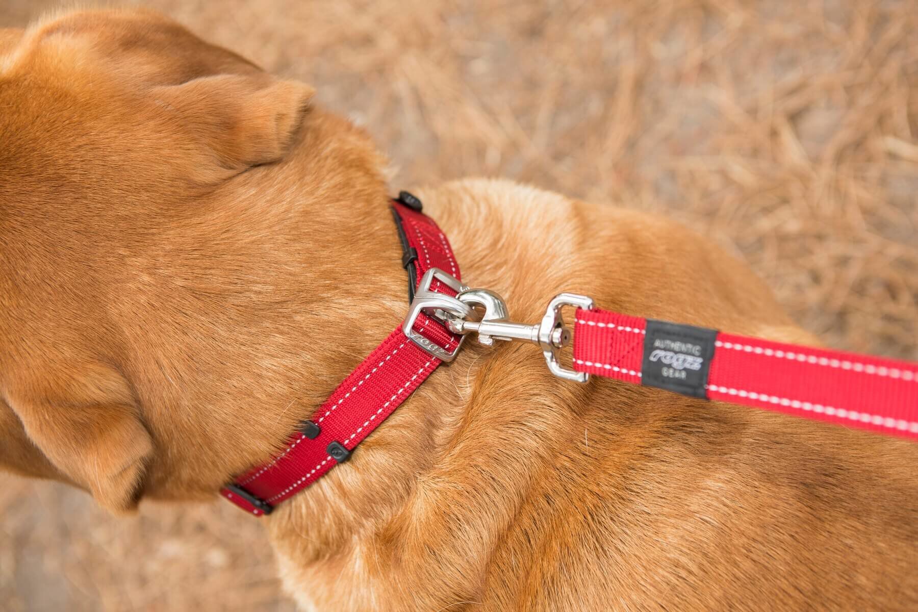 Rogz - Collier De S&eacute;curit&eacute; Safety Collar Noir pour Chien - L Image num&eacute;ro 5