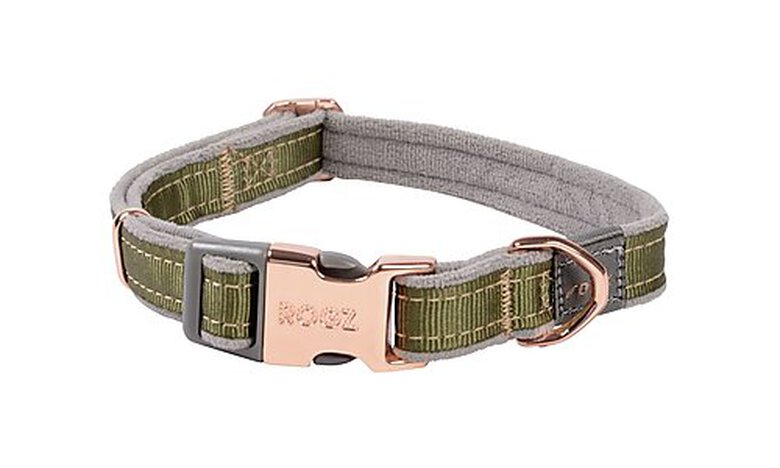 Rogz - Collier Urban Olive pour Chiens - M image number null