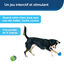 PetSafe - Jouet Interactif Ricochet pour Chiens Indicateur image numéro 4