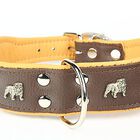 Yogipet - Collier Super Bulldog Cuir T55 45/53cm pour Chien - Marron image number null