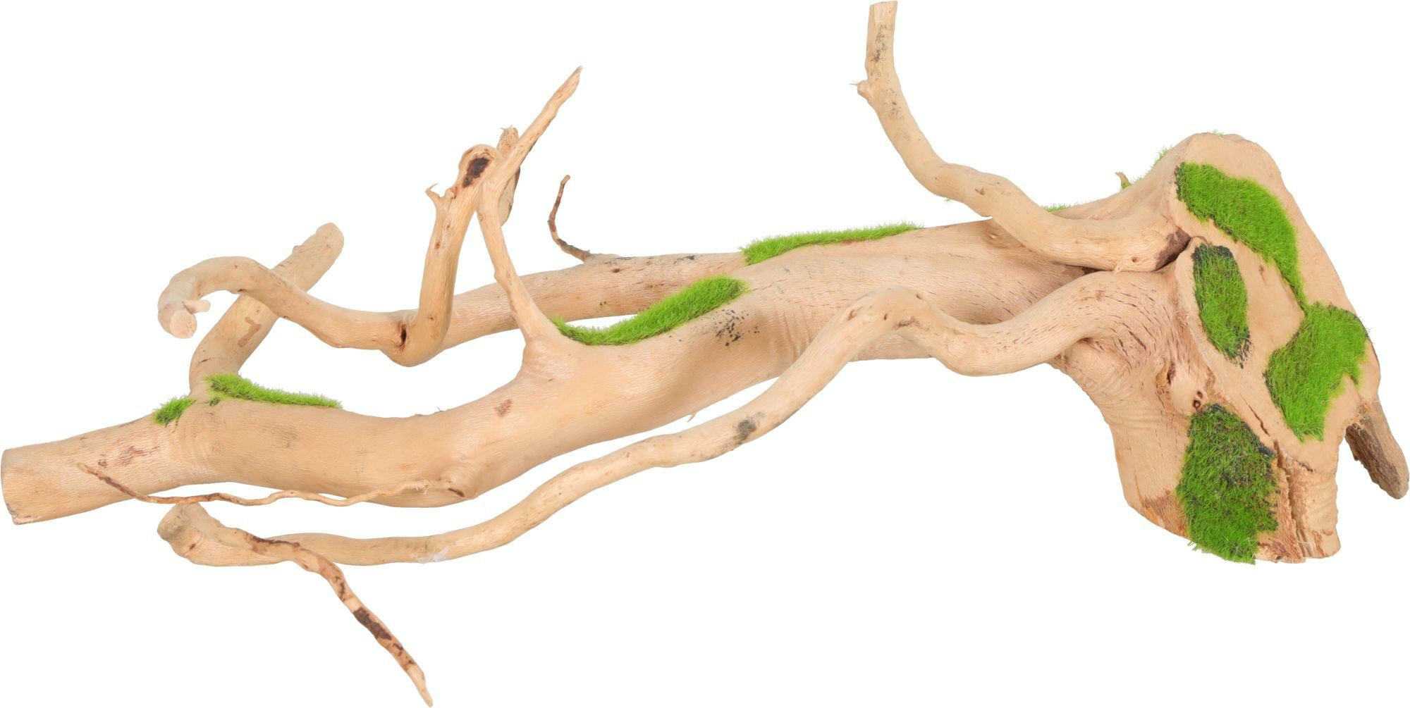 Zolux - Racine Araign&eacute;e Naturelle Kipouss pour Aquarium - S Image num&eacute;ro 1