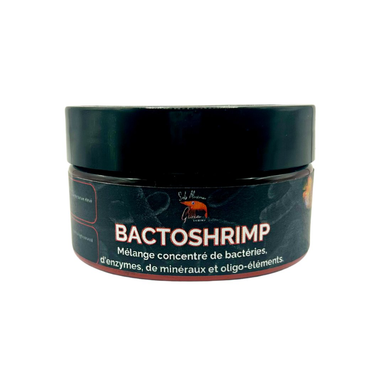 Gioiashrimp - Mélange de Bactéries BactoShrimp Image numéro 1 Gioiashrimp - Mélange de Bactéries BactoShrimp Image numéro 1