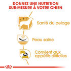 Royal Canin - Croquettes Westie Adult pour Chiens - 1,5Kg image number null