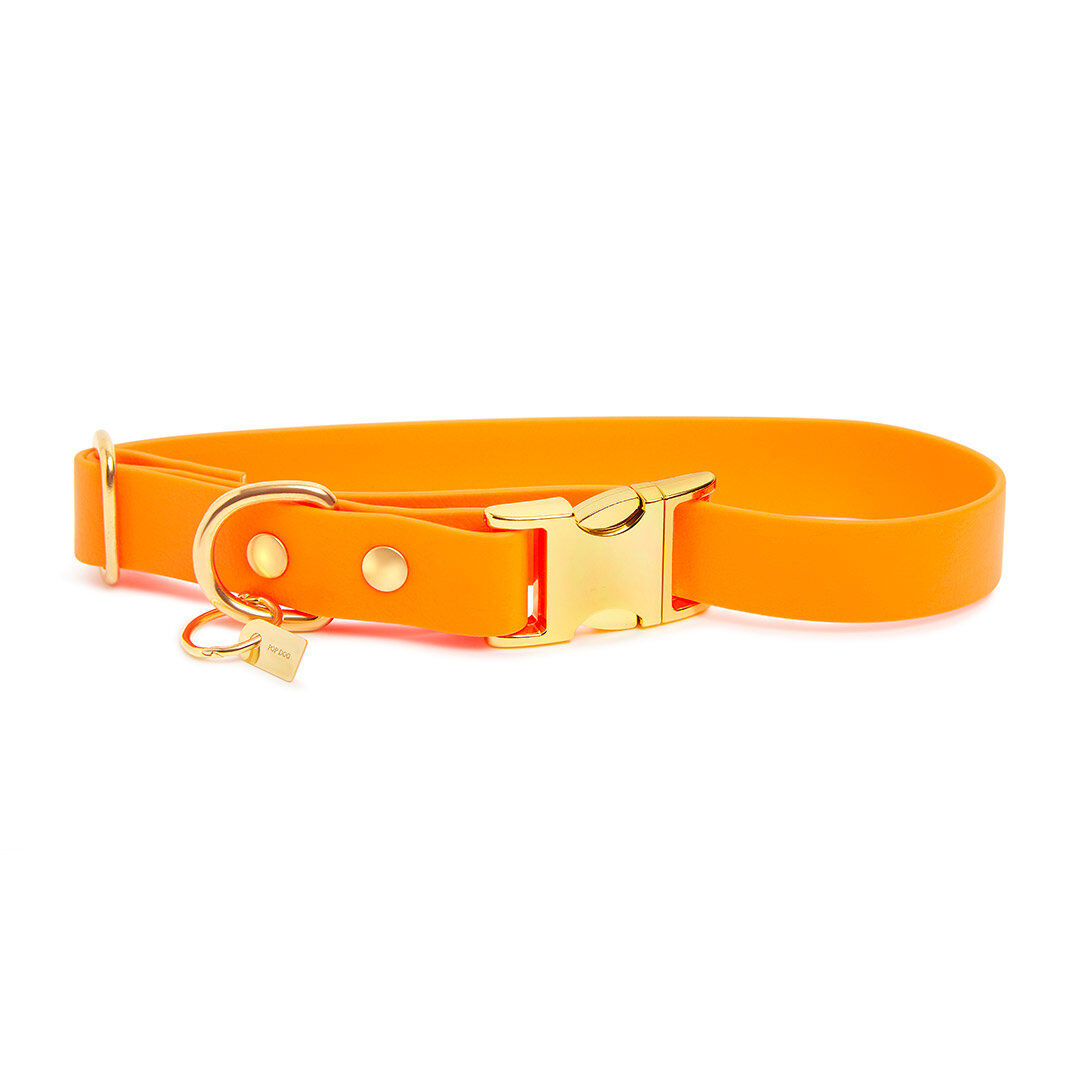 Pop Dog - Collier Pitchoune Orange pour Chien - S Image num&eacute;ro 2