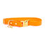 Pop Dog - Collier Pitchoune Orange pour Chien - S Indicateur image numéro 2