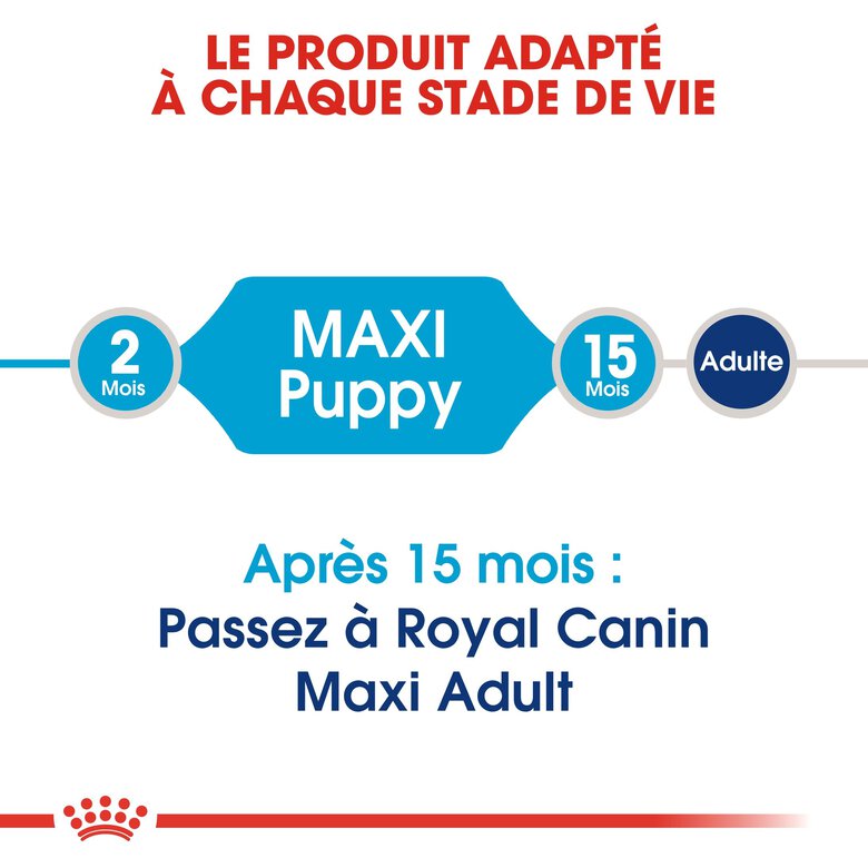 Royal Canin - Croquettes Maxi Puppy pour Chiot - 4Kg Image numéro 4 Royal Canin - Croquettes Maxi Puppy pour Chiot - 4Kg Image numéro 4