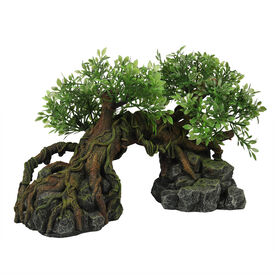 Terradel - Décoration Arbre Jungle pour Aquarium