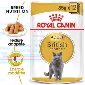 Royal Canin -  Pâtée en Mousse BRITISH SHORTHAIR ADULT pour Chats - 12x85g