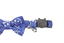 Gotoo - Collier Trendy Bleu pour Chat - 1x20-30cm Indicateur image numéro 2