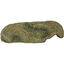 Animalis - Kit Gecko - 50cm Indicateur image numéro 6
