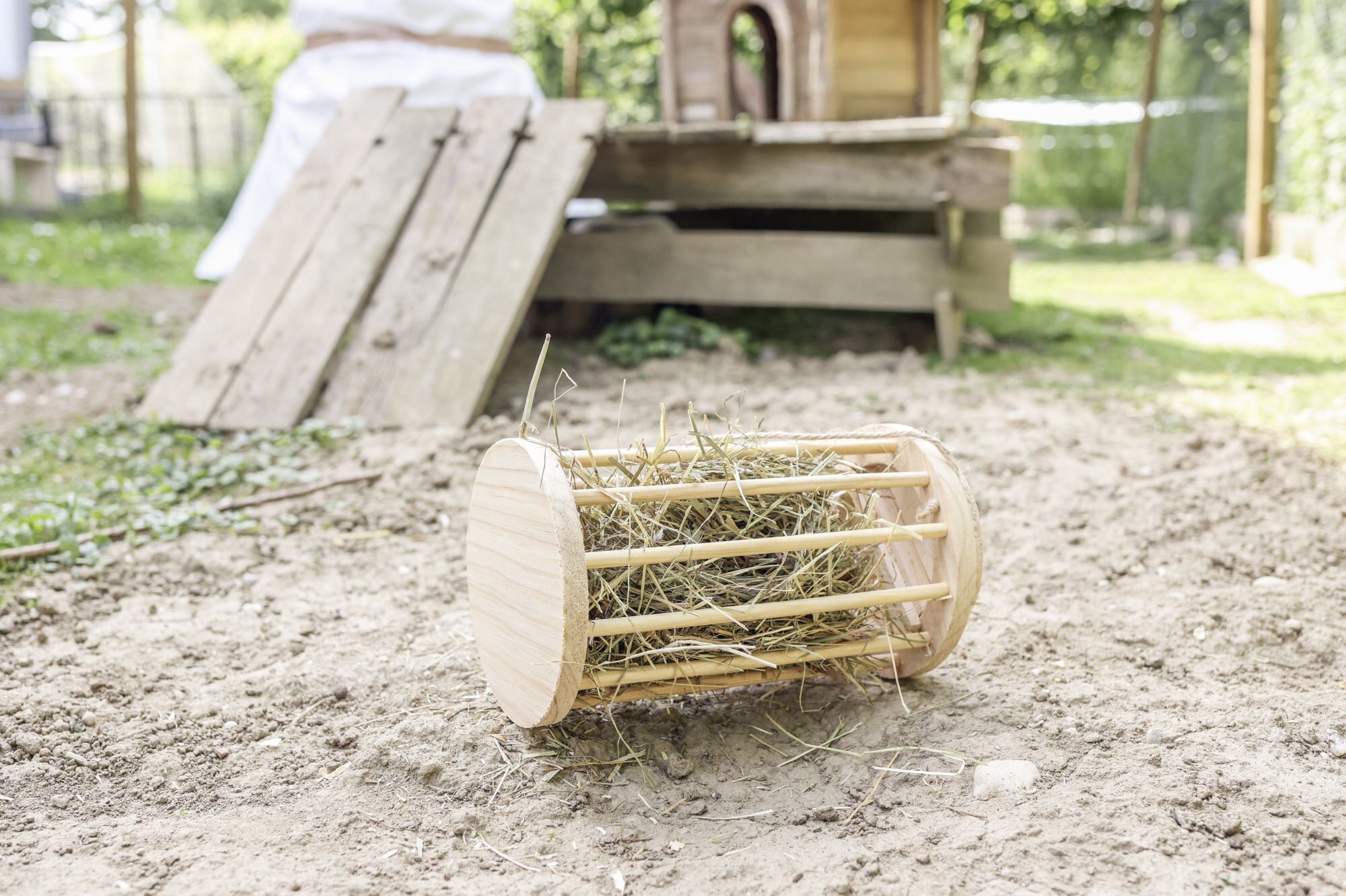 Kerbl - R&acirc;telier &agrave; Foin 3en1 en Bois pour Rongeurs - 25cm Image num&eacute;ro 3