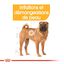 Royal Canin - Croquettes Medium Dermacomfort pour Chien - 3Kg Indicateur image numéro 3