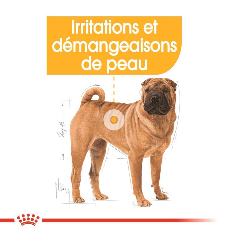 Royal Canin - Croquettes Medium Dermacomfort pour Chien - 3Kg Image numéro 3 Royal Canin - Croquettes Medium Dermacomfort pour Chien - 3Kg Image numéro 3
