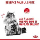 Royal Canin - Hair Skin Care 4kg image number null