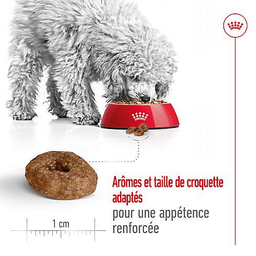 Royal Canin - Croquettes Mini Ageing 12+ pour Chien Senior - 3,5Kg Image num&eacute;ro 5