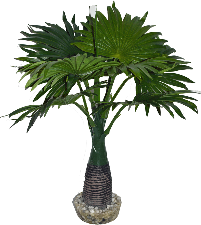 Labeo - Décor herbe Plante Artificielle Terrarium Image numéro 2 Labeo - Décor herbe Plante Artificielle Terrarium Image numéro 2