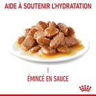 Royal Canin - Sachets Appetite Control Care en Sauce pour Chat - 12x85g image number null