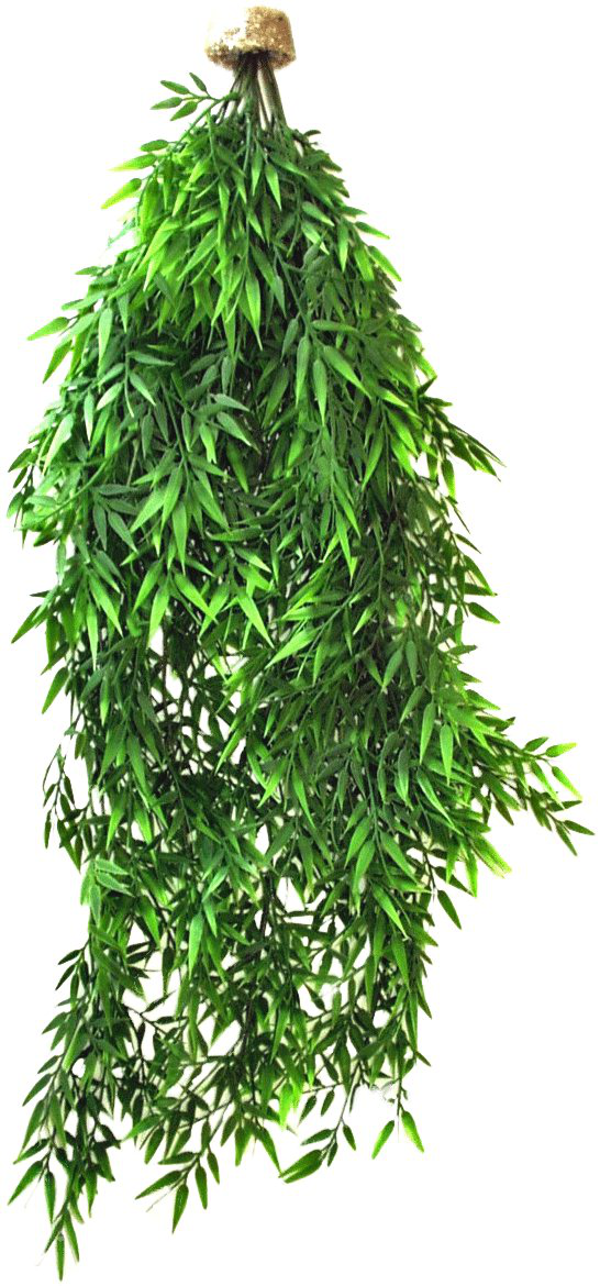 Labeo - Suspension Bambou Plante Artificielle Terrarium Image num&eacute;ro 1