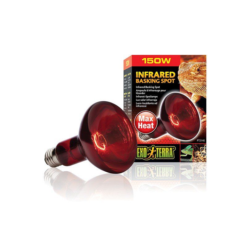 Exo Terra - Lampe Infrarouges R&eacute;ptile de 95mm - 150W Image num&eacute;ro 1