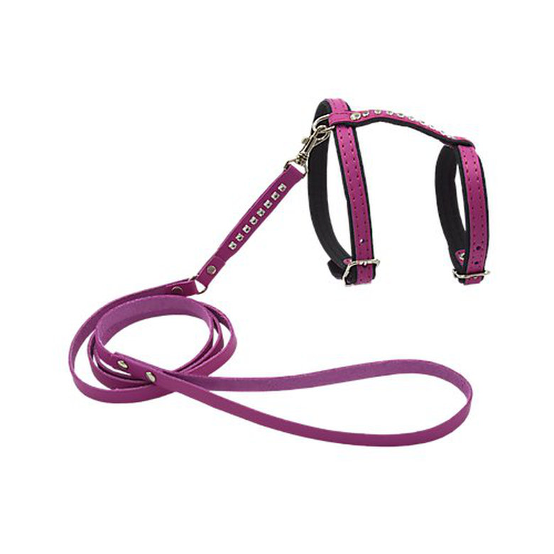 Comme Un Roi - Harnais et Laisse Cuir So Funky Rose pour Chat - TU Image numéro 1 Comme Un Roi - Harnais et Laisse Cuir So Funky Rose pour Chat - TU Image numéro 1