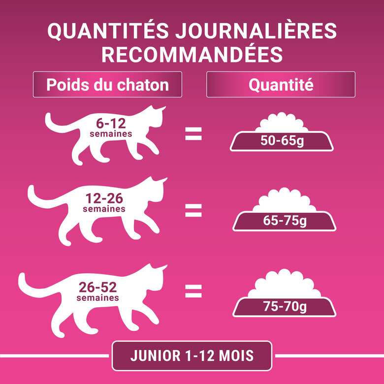 Purina One - Croquettes au Poulet et Céréales pour Chaton - 1,5Kg Image numéro 6 Purina One - Croquettes au Poulet et Céréales pour Chaton - 1,5Kg Image numéro 6