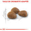 Royal Canin - Croquettes Outdoor7+ pour Chat d'Ext&eacute;rieur - 10Kg Indicateur image num&eacute;ro 4