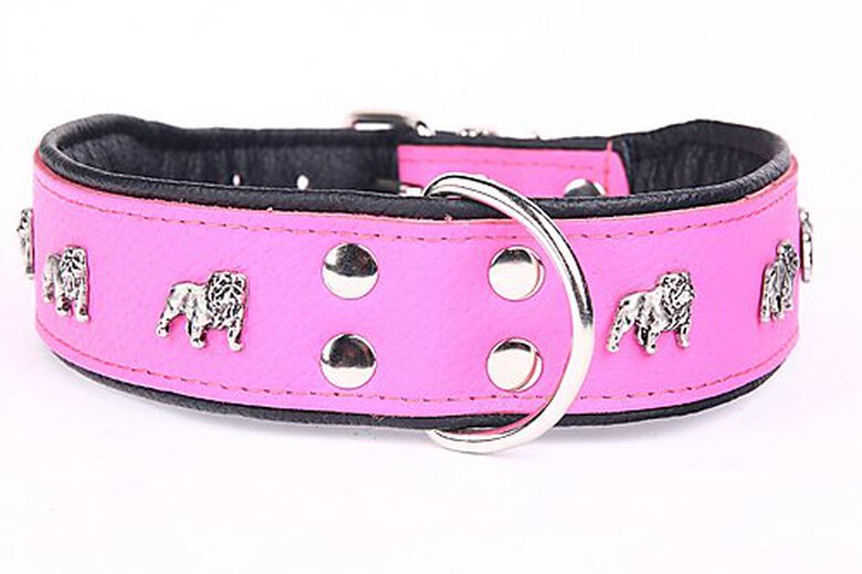 Yogipet - Collier Super Bulldog Cuir pour Chien - Rose image number null