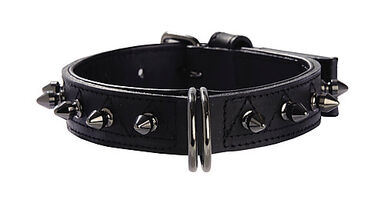Bobby - Collier Pretty Vert pour Chiens