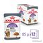 Royal Canin - Sachets Appetite Control Care en Sauce pour Chat - 12x85g Indicateur image numéro 12