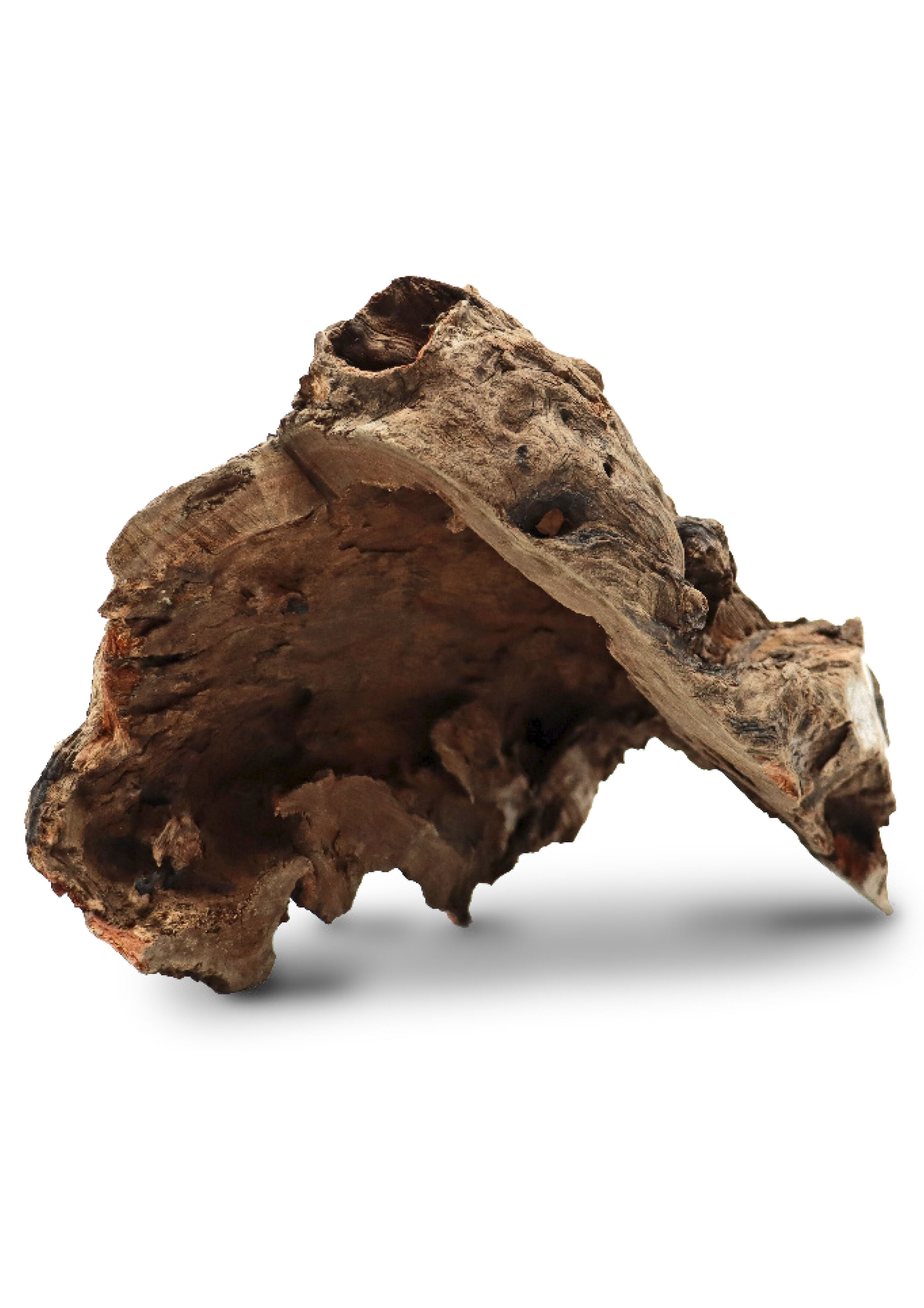 Amtra - Souche de Bois Tha&iuml; Naturel pour Aquarium - M Image num&eacute;ro 1