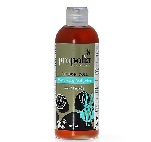Propolia - Shampoing Tout Pelage Miel et Propolis - 200ml Image num&eacute;ro 1
