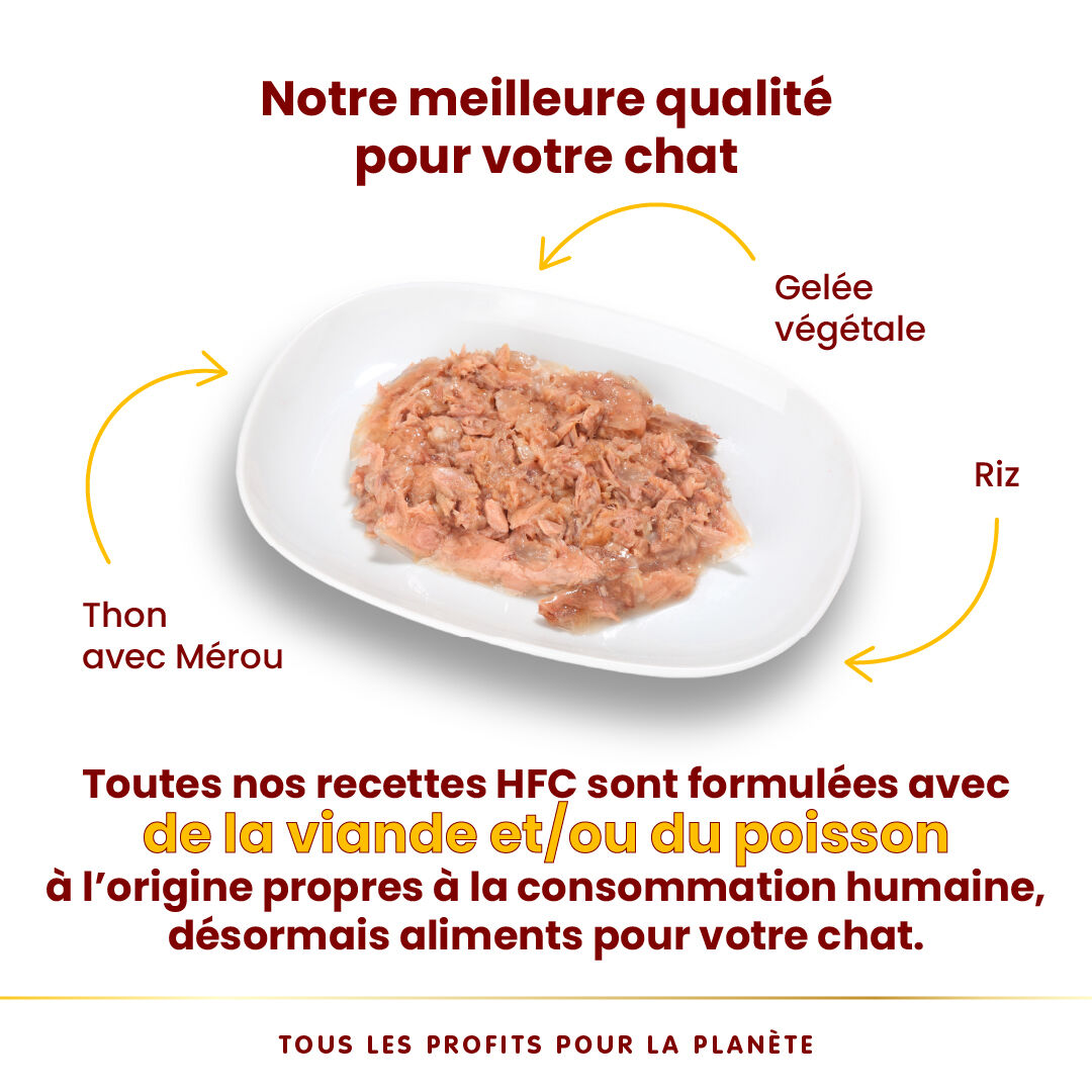 Almo Nature - P&acirc;t&eacute;e HFC Jelly Thon avec M&eacute;rou pour Chats - 70g Image num&eacute;ro 3