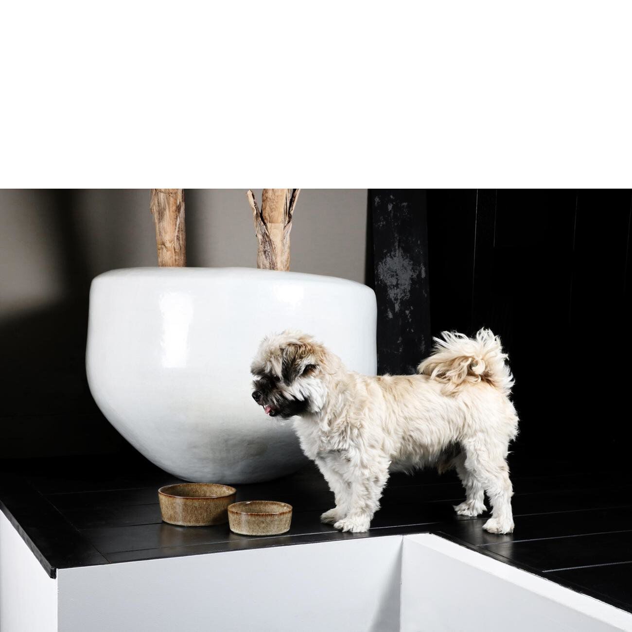 D&D - GAMELLE ET BOL D`EAU JASPER SAND 1400ml - 20,8x20,8x9cm Image num&eacute;ro 3