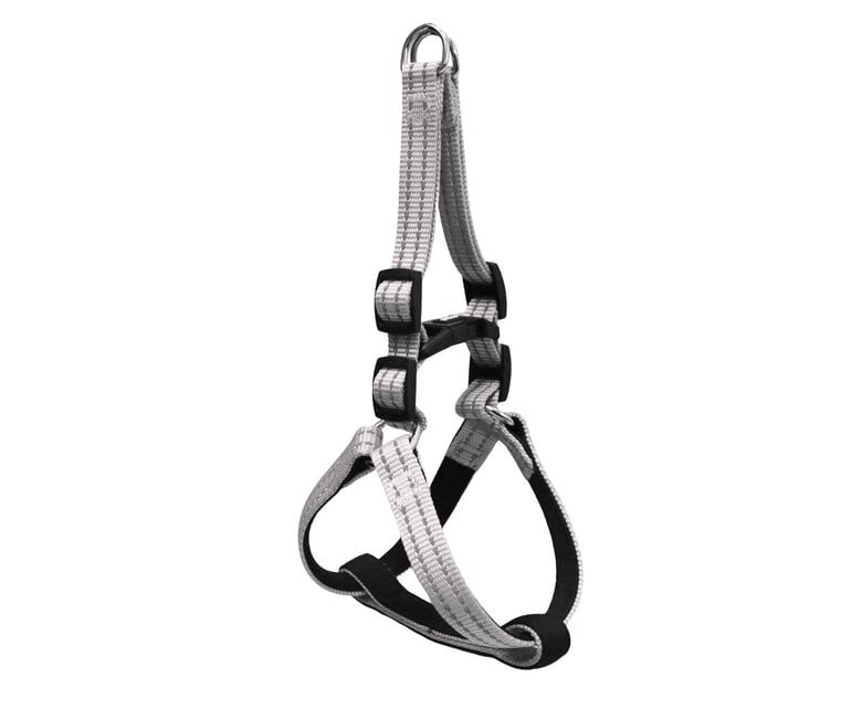 Gotoo - Harnais Essentials en Nylon Premium Gris pour Chien - XS Image numéro 1 Gotoo - Harnais Essentials en Nylon Premium Gris pour Chien - XS Image numéro 1