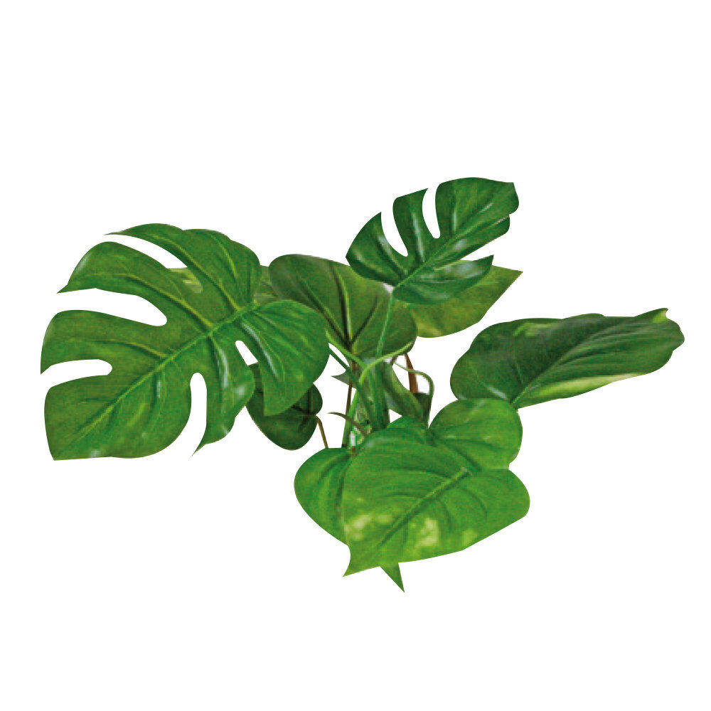Amtra - D&eacute;coration Plant Replica Anubias - 15cm Image num&eacute;ro 1