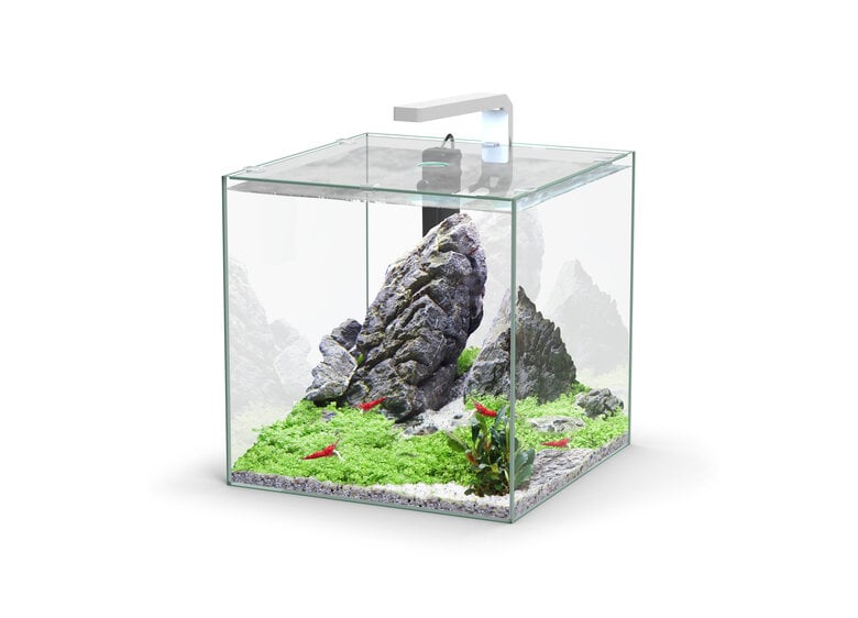 Aquatlantis - Aquarium Kubus 33L - Equipé Image numéro 1 Aquatlantis - Aquarium Kubus 33L - Equipé Image numéro 1