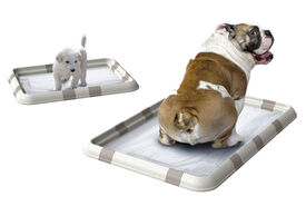 Animalis - Cadre Tapis Educateur pour Chien - 32cm