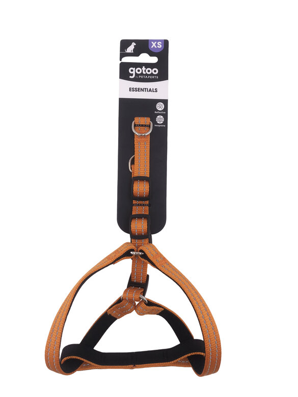 Gotoo - Harnais Essentials en Nylon Premium Orange pour Chien - XS Image numéro 7 Gotoo - Harnais Essentials en Nylon Premium Orange pour Chien - XS Image numéro 7