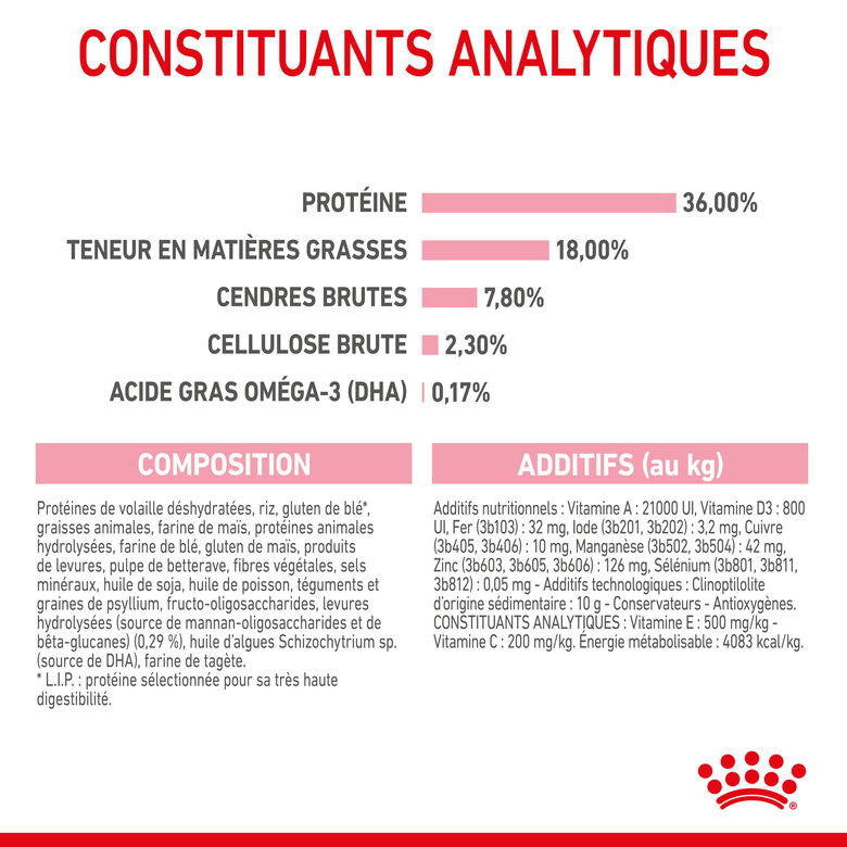 Royal Canin - Croquettes Kitten pour Chaton - 400g Image numéro 9 Royal Canin - Croquettes Kitten pour Chaton - 400g Image numéro 9