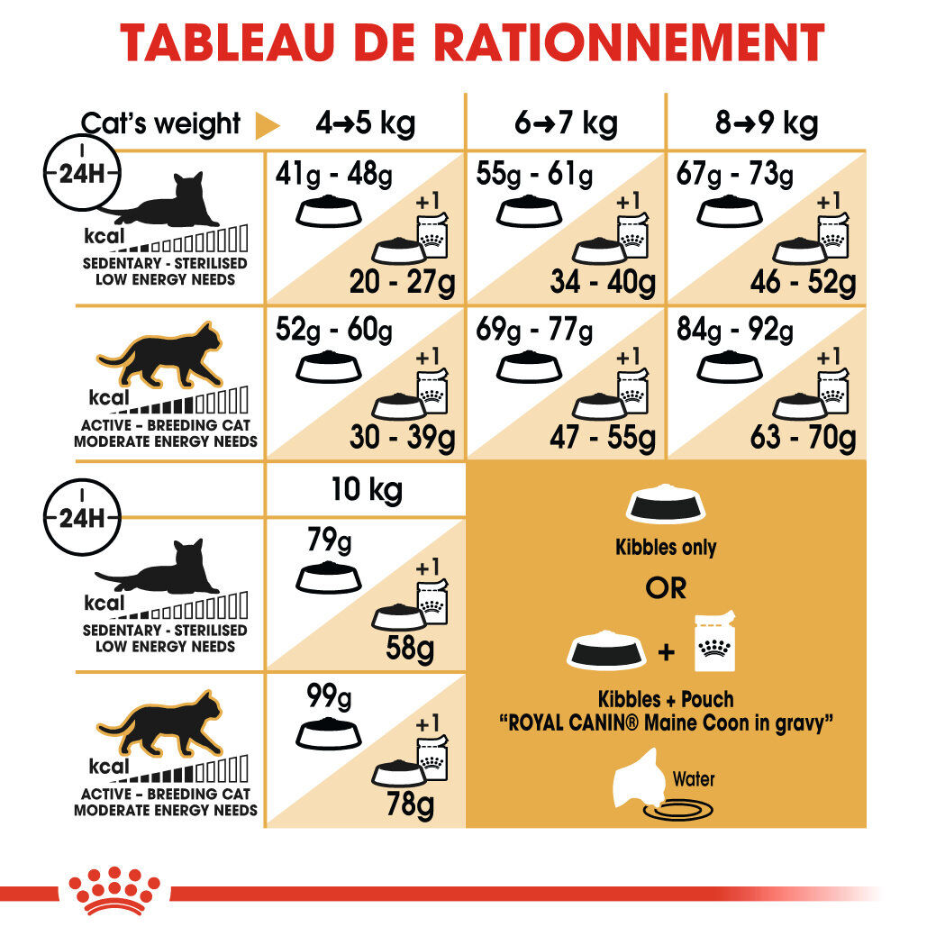 Royal Canin - Croquettes Maine Coon Adult pour Chat - 400g Image num&eacute;ro 2
