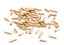 Cat's Best - Litière Végétale Smart Pellets pour Chat - 10L Indicateur image numéro 4