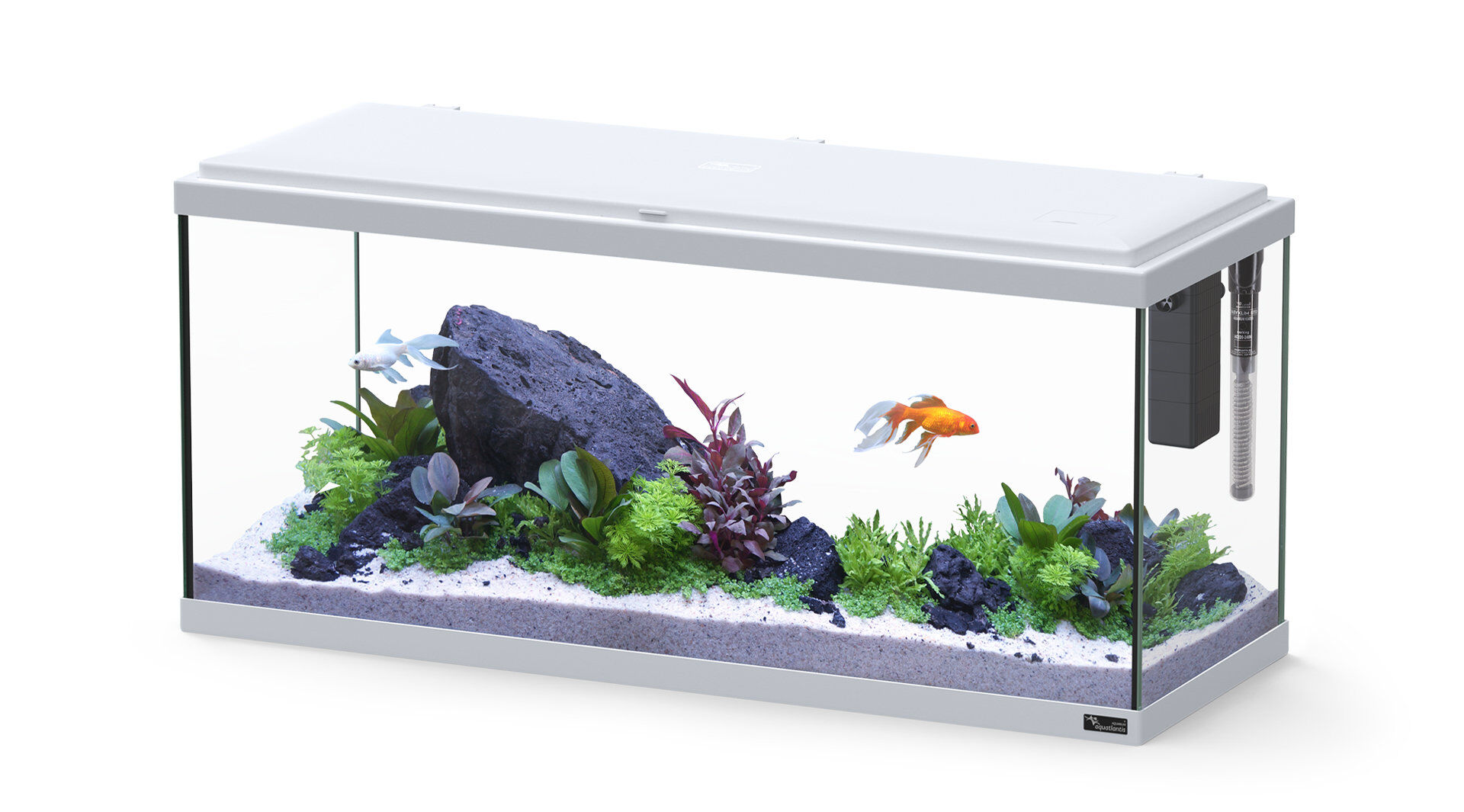 Aquatlantis - Aquarium Explorer Amsterdam 80 Equip&eacute; - Gris Clair Image num&eacute;ro 1