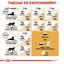 Royal Canin - Croquettes SPHYNX ADULT pour chats - 10KG Indicateur image numéro 3