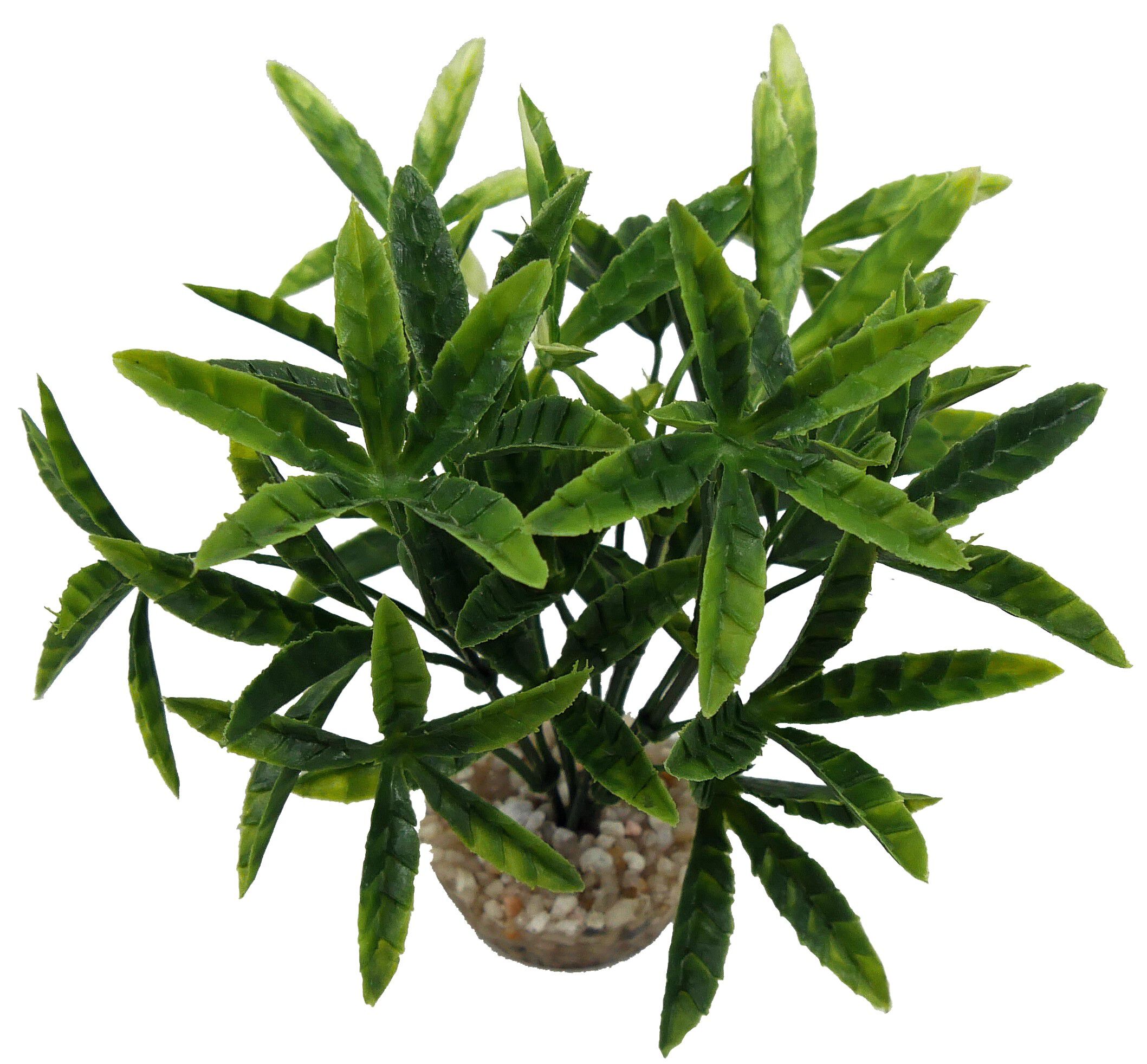Labeo - D&eacute;coration Mini Buis Chene Saule T4 - Vert Image num&eacute;ro 1