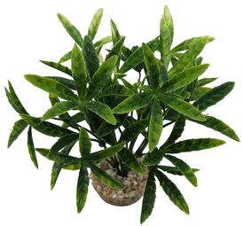 Labeo - D&eacute;coration Mini Buis Chene Saule T4 - Vert